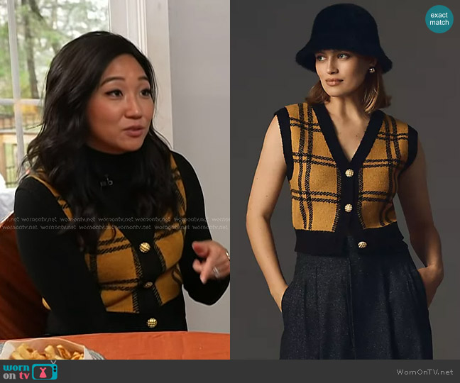 English Factory Plaid Sweater Vest worn by Kathy Park on Today