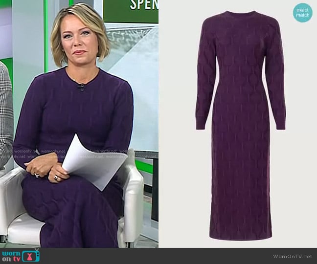 Thakoon Collective Long Sleeve Dress worn by Dylan Dreyer on Today