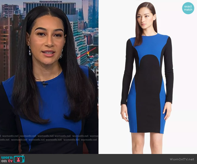 Michael Kors Colorblock Jersey Dress worn by Morgan Radford on NBC News Daily