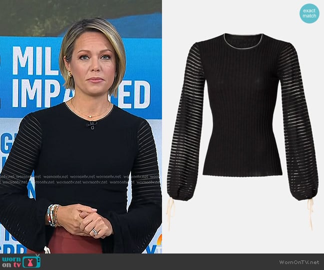 Roksanda Collective Tie Puff Sleeve Top worn by Dylan Dreyer on Today