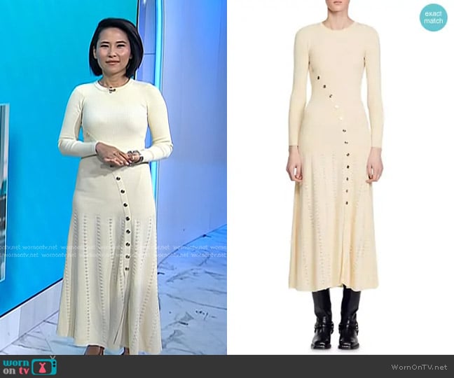 Sandro Jared Button Detail Midi Dress worn by Vicky Nguyen on Today