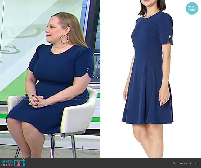 DKNY Button Sleeve Fit and Flare Dress in Coastal Blue worn by Shannon McLay on Today