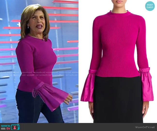 Simkhai Agata Long Sleeve Top in Magenta worn by Hoda Kotb on Today