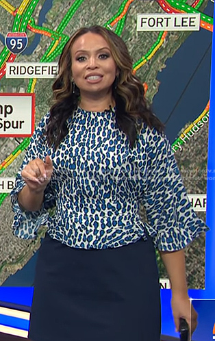 Adelle’s blue leopard top on Today