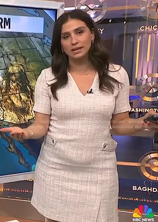 Angie Lassman's light beige tweed dress on NBC News