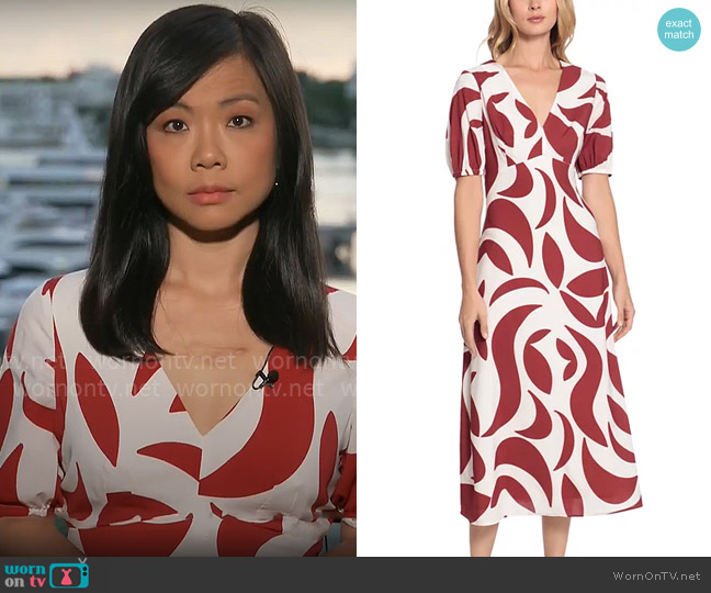 Donna Morgan Printed Open-Back V-Neck Midi Dress worn by Weijia Jiang on CBS Mornings