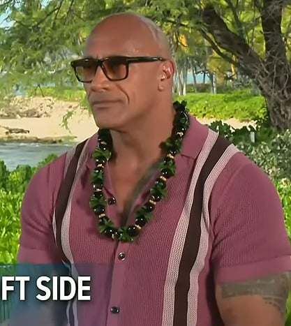 Dwayne Johnson’s pink stripe knit shirt on Access Hollywood