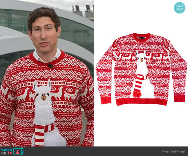 Blizzard Bay Ugly Christmas Sweater worn by Sam Brock on Today