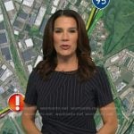 Heather’s pinstripe dress on Good Morning America