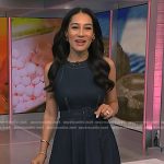 Morgan’s belted denim dress on NBC News Daily