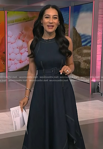 Morgan's belted denim dress on NBC News Daily