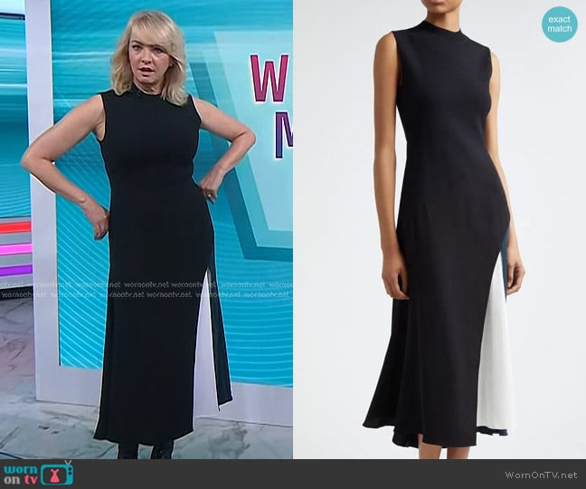 Reiss Faro Colorblock Detail Sleeveless Dress worn by Wendi McLendon-Covey on Today