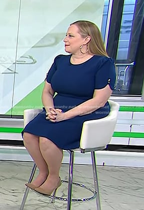 Shannon McLay’s blue short sleeve dress on Today