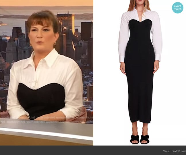 Staud Hazel Layered Mixed-Media Dress worn by Ana's Gasteyer on The Drew Barrymore Show