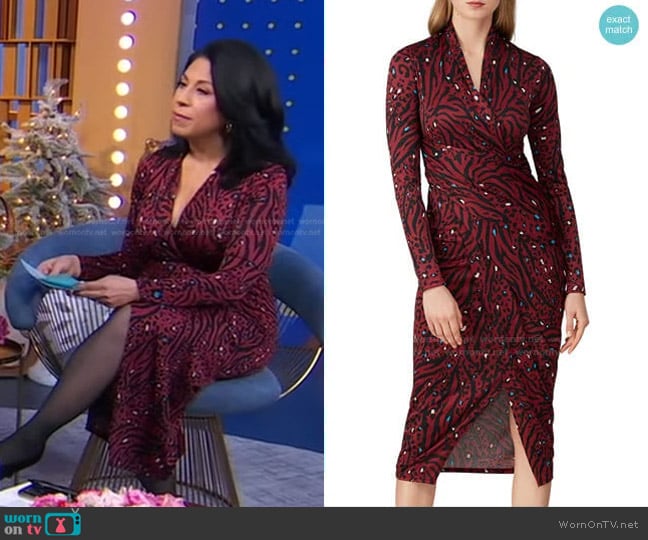 Great Jones Animal Printed Sheath Dress worn by Alexis Christoforous on Good Morning America