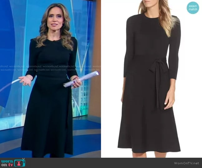 Eliza J Fit & Flare Sweater Dress worn by Rhiannon Ally on Good Morning America