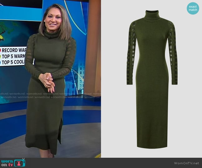 Esteban Cortazar Collective Mesh Sleeve Dress in Olive worn by Ginger Zee on Good Morning America