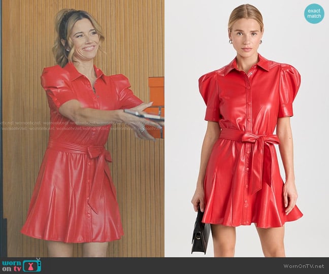 Alice + Olivia Lurlene Faux Leather Mini Dress worn by Margo Starling (Linda Cardellini) on No Good Deed