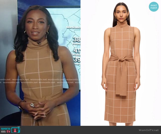 Toccin x RTR Sleeveless Plaid Tie Dress worn by Brittany Bell on Good Morning America