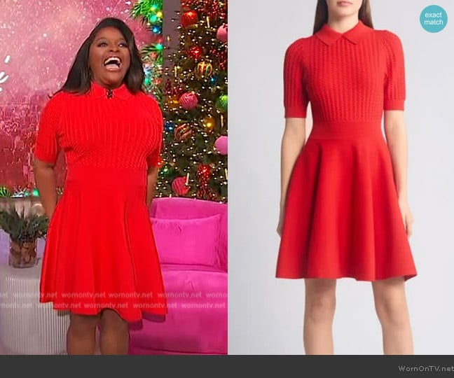 Ted Baker Mia Knit Skater Dress worn by Sherri Shepherd on Sherri