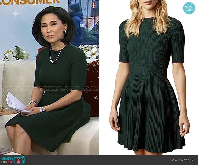 Ted Baker Renyina Knit Skater Dress worn by Vicky Nguyen on Today