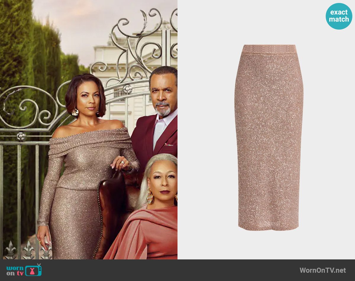 A.L.C. Dana Sparkly Knit Skirt worn by Nicole Dupree Richardson (Daphnee Duplaix) on Beyond the Gates