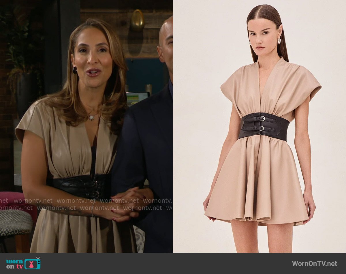 Alexis Viktoria or Berlin Dress worn by Lily Winters (Christel Khalil) on The Young and the Restless