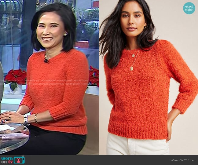 Anthropologie Valerie Eyelash Sweater worn by Vicky Nguyen on Today