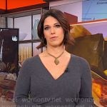 Dana Jacobson’s grey knit dress on CBS Mornings