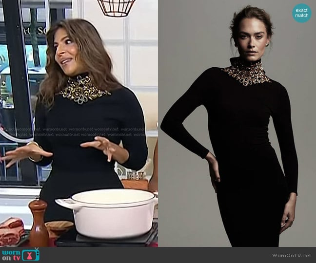 Fallon & Ava The Victoria Turtleneck worn by Aliya LeeKong on Today