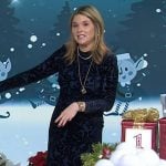 Jenna’s navy burnout velvet dress on Today