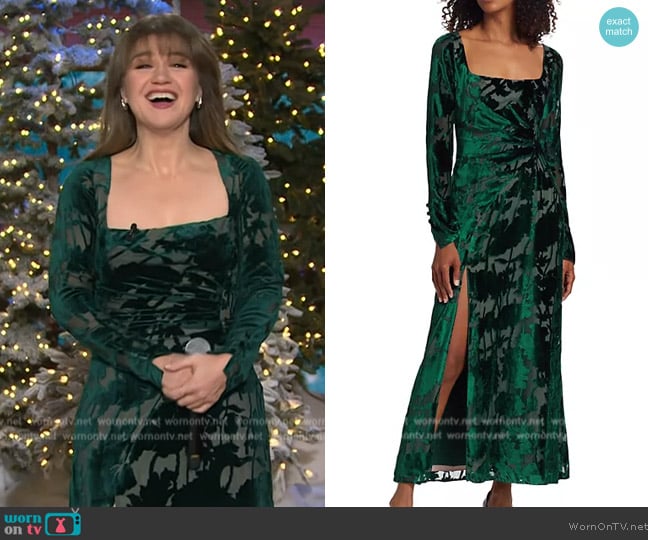 Lela Rose Floral Velvet Burnout Maxi Dress worn by Kelly Clarkson on The Kelly Clarkson Show