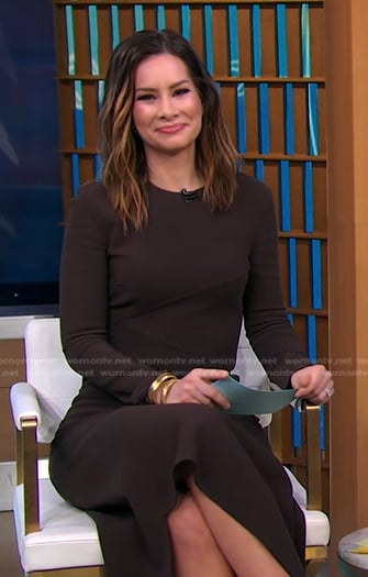 Rebecca's brown long sleeve midi dress on Good Morning America