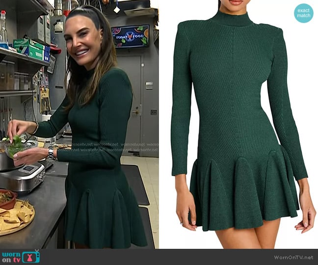 Retrofete Sydonie Knit Dress in Pine worn by Elizabeth Chambers on Today