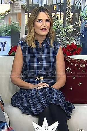 Savannah's blue plaid shirtdress on Today