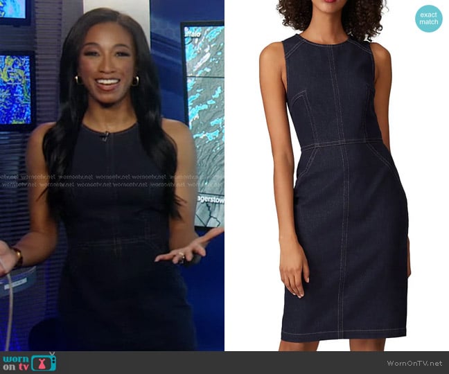 Trina Turk Petit Rogue Denim Dress worn by Brittany Bell on Good Morning America