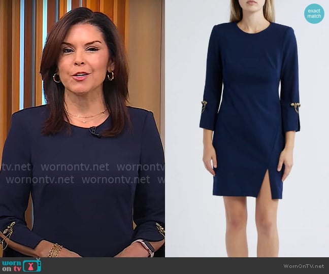 Vince Camuto Brooch Detail Long Sleeve Crepe Shift Dress worn by Meg Oliver on CBS Mornings