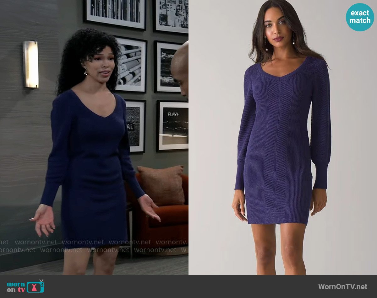 White House Black Market Long Sleeve Sweater Dress worn by Portia Robinson (Brook Kerr) on General Hospital