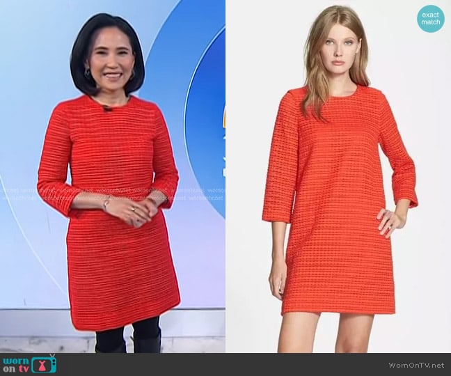 Kate Spade Ashby Dress worn by Vicky Nguyen on Today