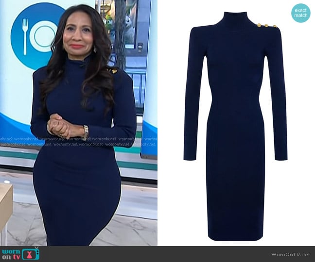 L'Agence Larelle Dress in Midnight Gold Rose worn by Dr. Taz Bhatia on Today