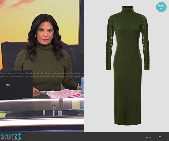 Esteban Cortazar Collective Mesh Sleeve Dress in Olive worn by Darlene Rodriguez on Today