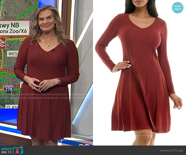 Nina Leonard Long Sleeve A-Line Sweater Dress in Clay worn by Emily West on Today