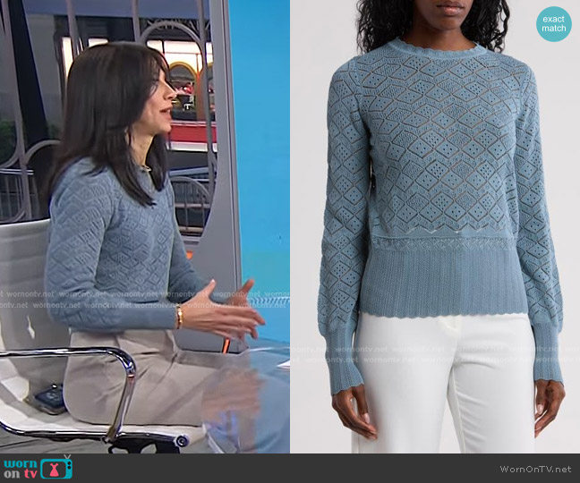 Rebecca Taylor Pointelle Stitch Sweater worn by Dr. Natalie Azar on Today