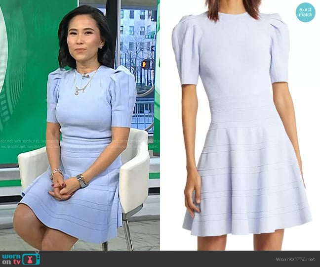 Ted Baker Velvey Puff Sleeve Knit Dress worn by Vicky Nguyen on Today