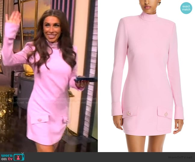 Alyssa’s pink mock neck mini dress on The View