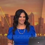 Darlene’s blue short sleeve dress on Today