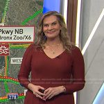 Emily’s brown v-neck sweater dress on Today