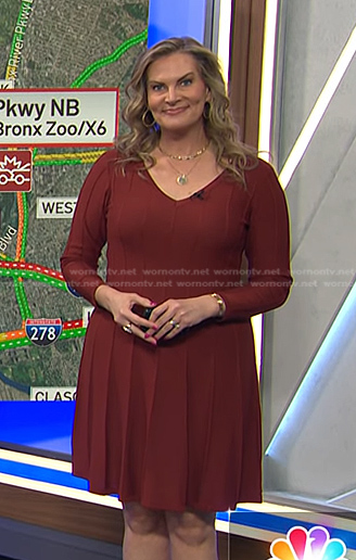 Emily’s brown v-neck sweater dress on Today