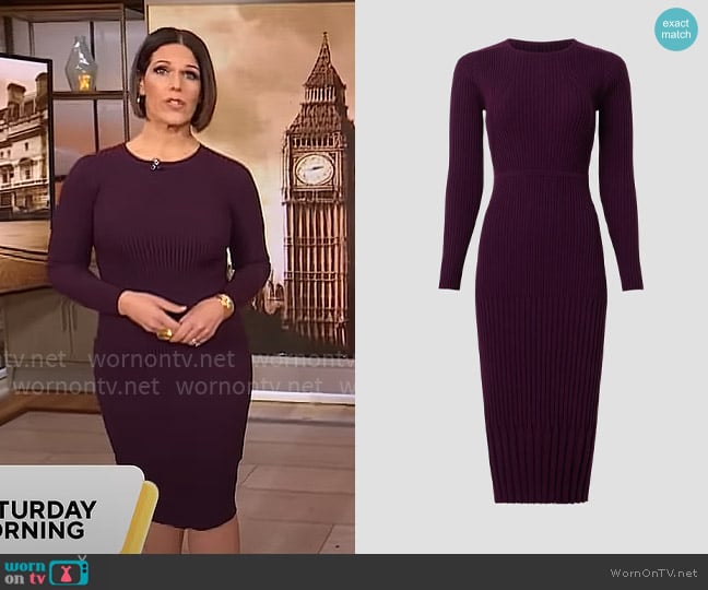 Jason Wu Collective Sweater Sheath Dress worn by Dana Jacobson on CBS Mornings