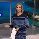 Kate Snow’s navy zig-zag stripe dress on NBC News Daily